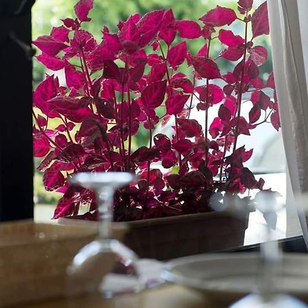 Hotel Annarita リミニ エクステリア 写真